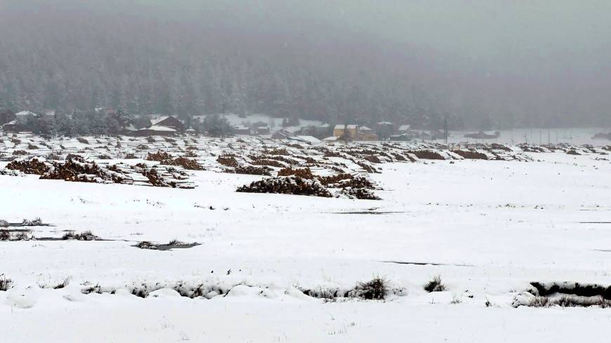 Bolu'da Sarıalan Yaylası'nda kar güzelliği 