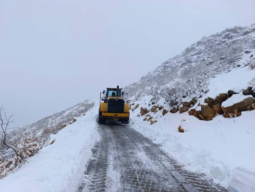 Diyarbakır'da kar yağışı (2)