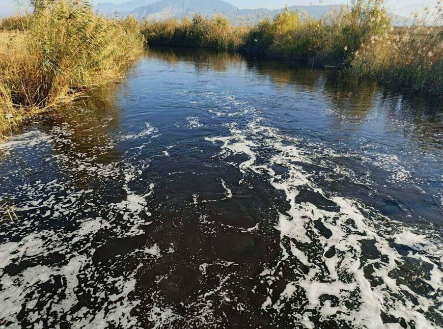  Büyük Menderes Nehri kirlilik nedeniyle siyaha büründü