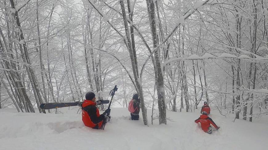 Kartepe’de JAK timinden karda nefes kesen tatbikat / Ek fotoğraflar