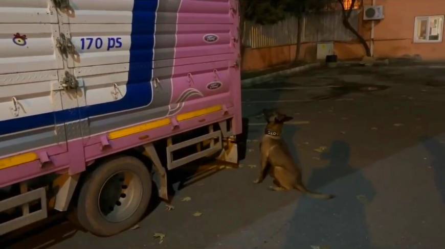 Sahibinin yurt dışına çıkarken verdiği 'Risko' narkotik köpeği oldu, operasyonlarda tonlarca uyuşturucu ele geçirildi / Ek fotoğraflar