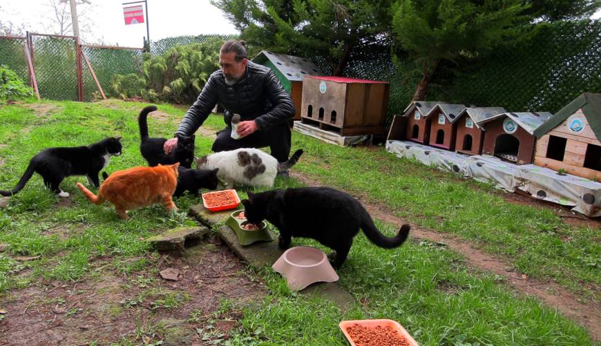  ‘Kedi Köyü’nün sınırları genişledi, misafirleri arttı