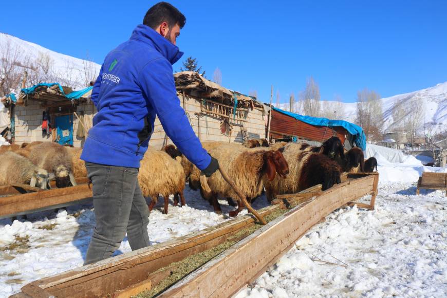 Bitlis'te besicilerin zorlu kış mesaisi 