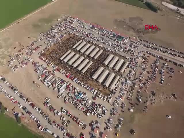 SİVAS - Türkiye'nin en büyük hayvan pazarı 'şap' nedeniyle kapatıldı
