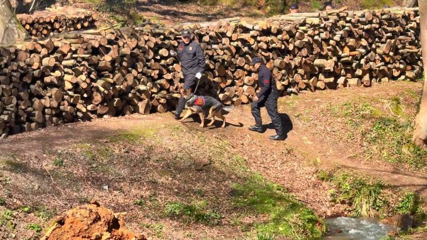 İstanbul - Belgrad Ormanı'nda kaybolan Ece Gürel'in akrabası: 4-5 avukatla aynı odaya sokmuşlar nasıl bir psikolojiye maruz kaldı bilemiyoruz