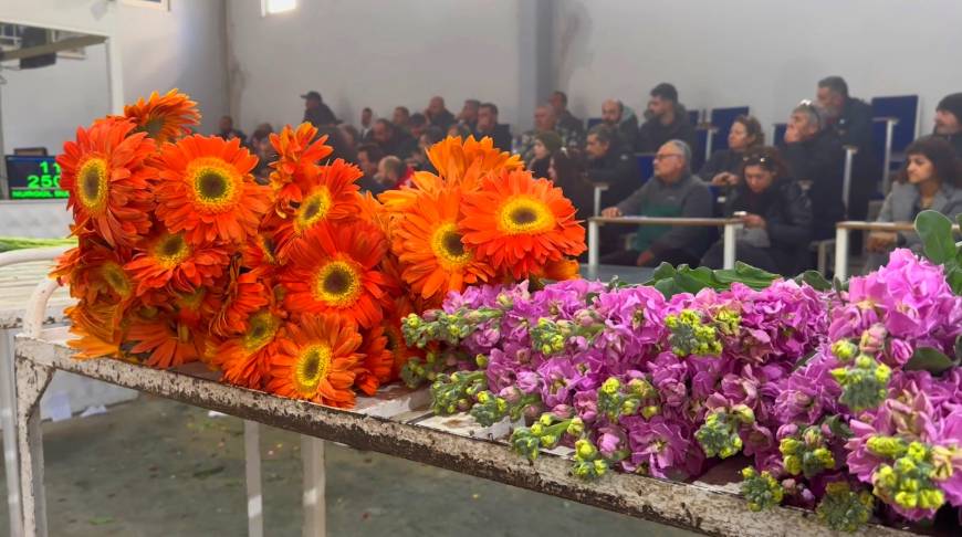 Yalova'da çiçek mezadında '8 Mart' yoğunluğu; en çok gül ve karanfil tercih ediliyor