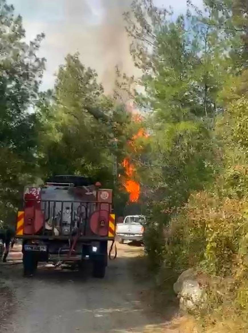 Kahramanmaraş'ta ormanlık alanda çıkan yangın söndürüldü