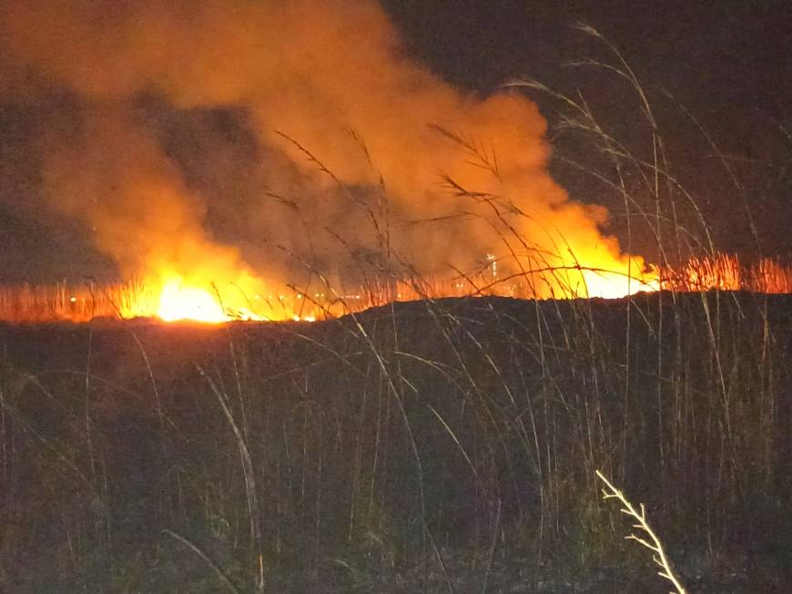 Hatay'da sazlık yangını söndürüldü