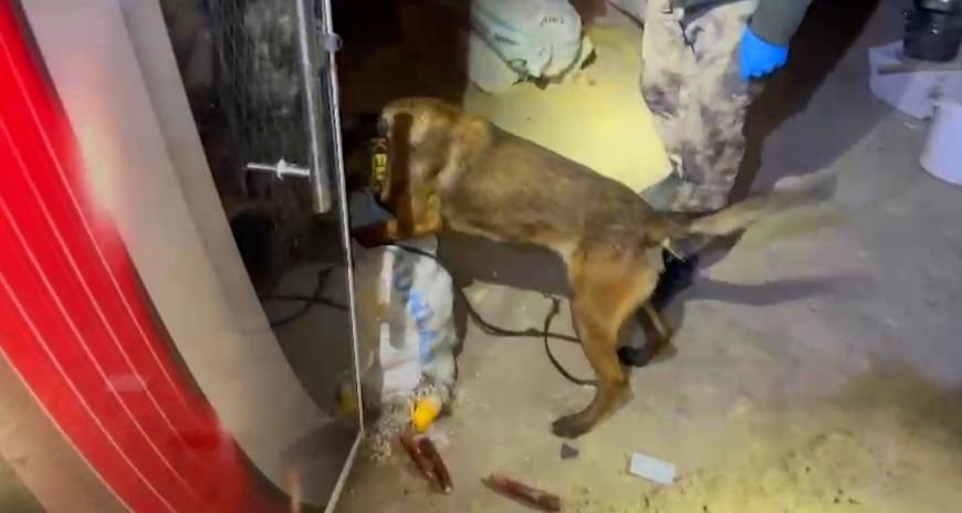 Batman'da 20 kilo uyuşturucuyu 'Hector' buldu