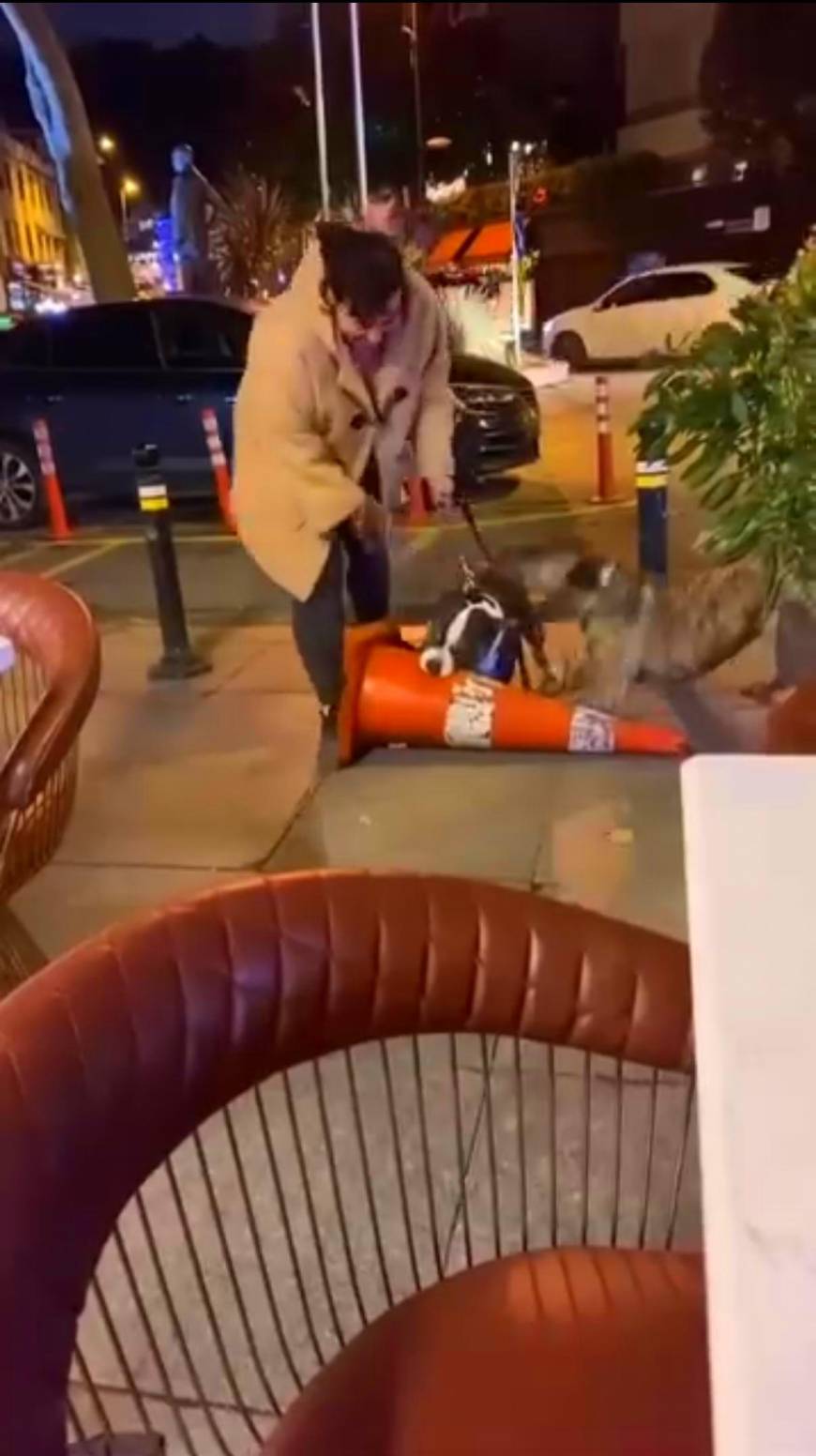 İstanbul- Bebek'te ağızlıksız gezdirilen pitbull dubaya saldırdı; sahibine 76 bin lira ceza kesildi