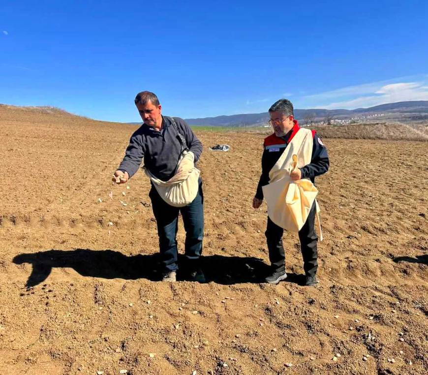 Bakan Yumaklı, Kastamonu'da sarımsak ekimine katıldı