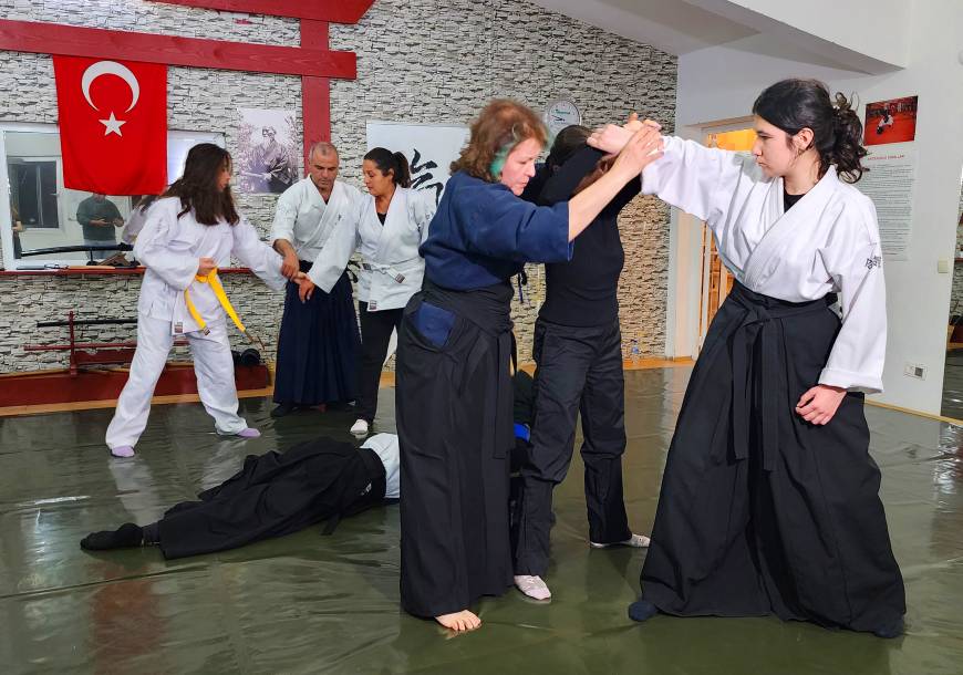 Hemcinslerine aikido öğretiyor