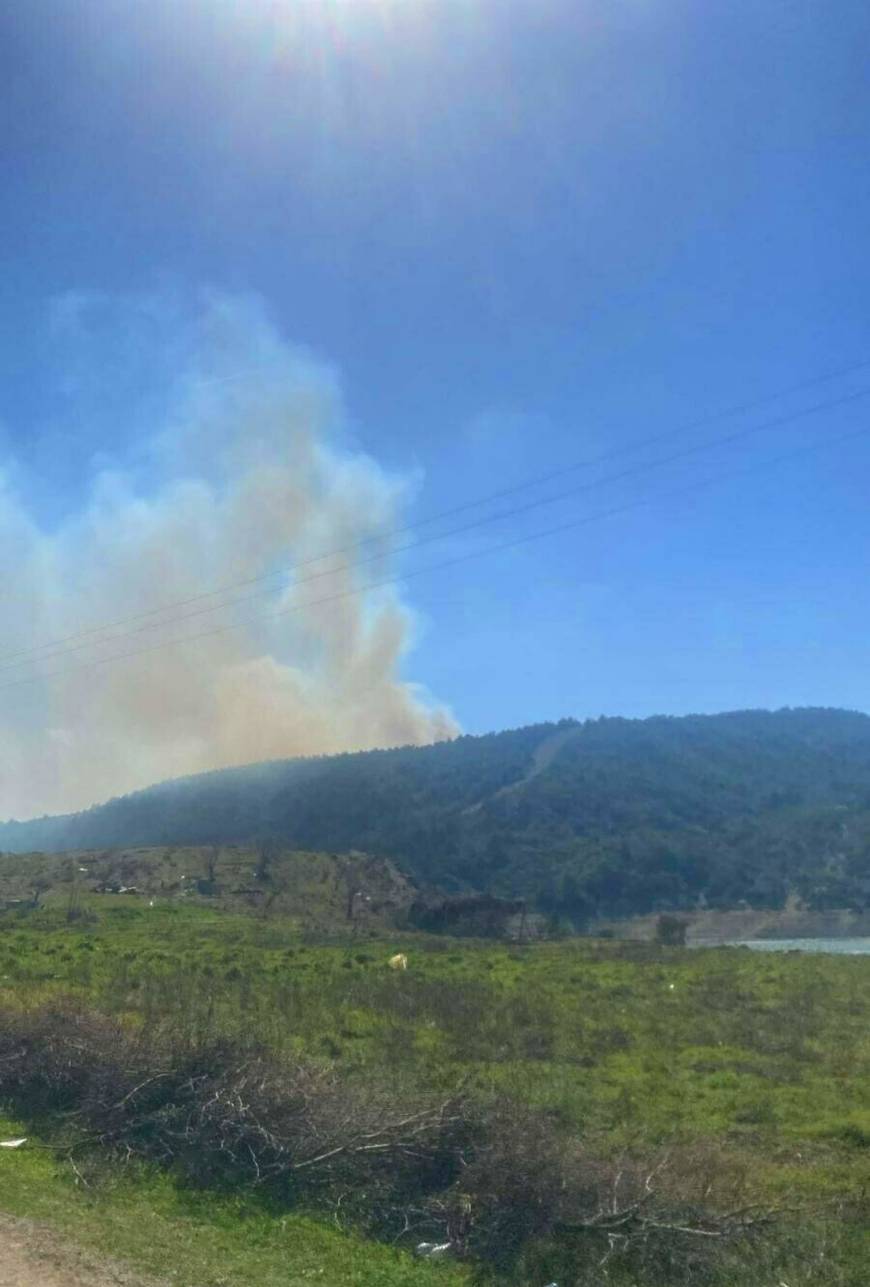 Çanakkale'de orman yangını