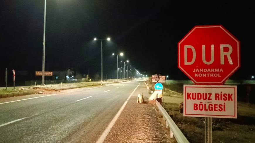 Adıyaman'da kuduz karantinası