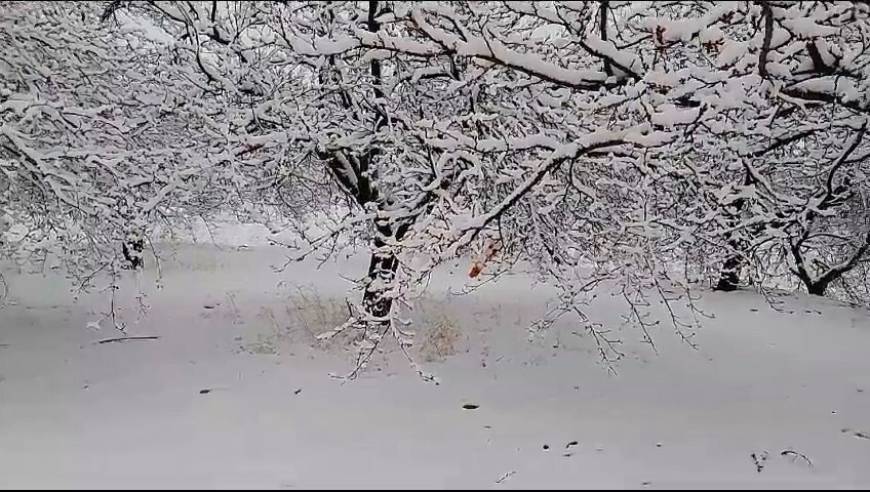 Elazığ’da kar yağışı etkili oldu