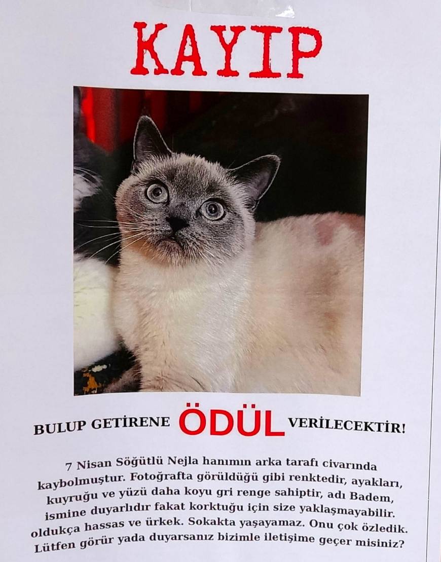 https://64k.net/media/dha_img/202504/67f768ee371a9.jpg