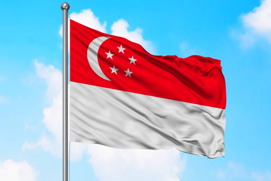 Singapur Cumhurbaşkanı, parlamentoyu feshetti