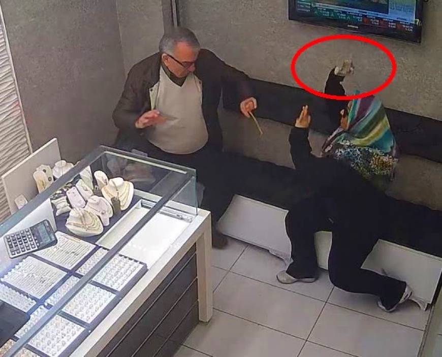 https://64k.net/media/dha_img/202504/6802042b9f47e.jpg