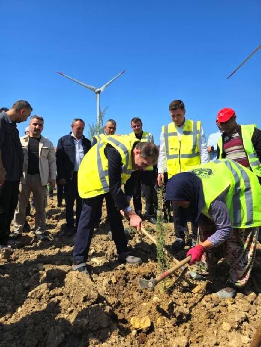 Çanakkale'de 100 bin fidanlık 'bakanlık' hatıra ormanı