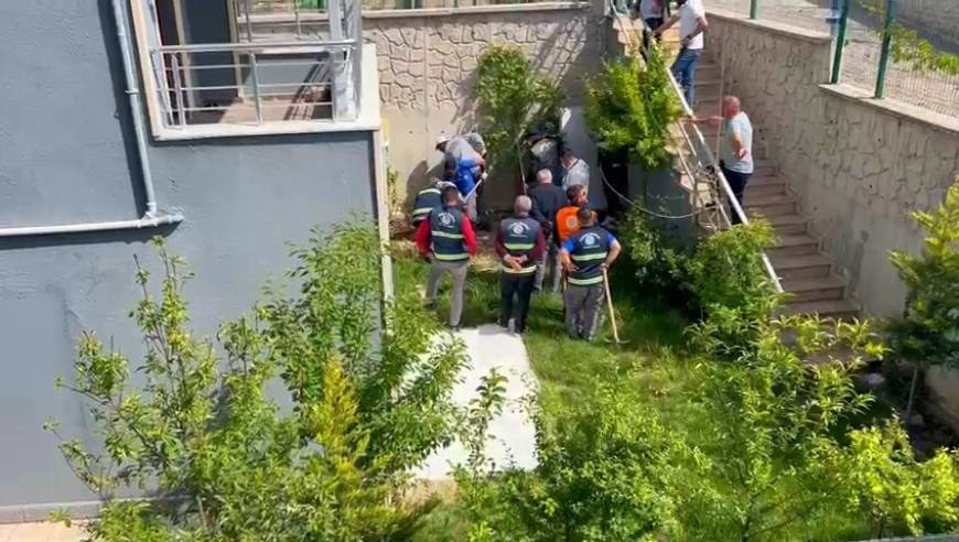 Doktorun sahiplenip öldürdüğü iddia edilen köpek sayısı 26'ya ulaştı (2)