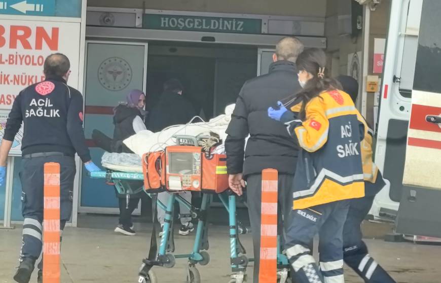 Tarlada kurmak istediği köstebek tabancası patlayınca hayatını kaybetti