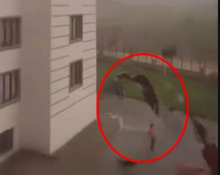 Diyarbakır ve Batman'da fırtına; çatı ve ağaçlar, araçların üzerine devrildi (4)