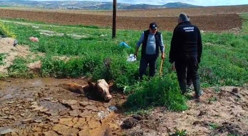 Çamura batan ineği itfaiye kurtardı