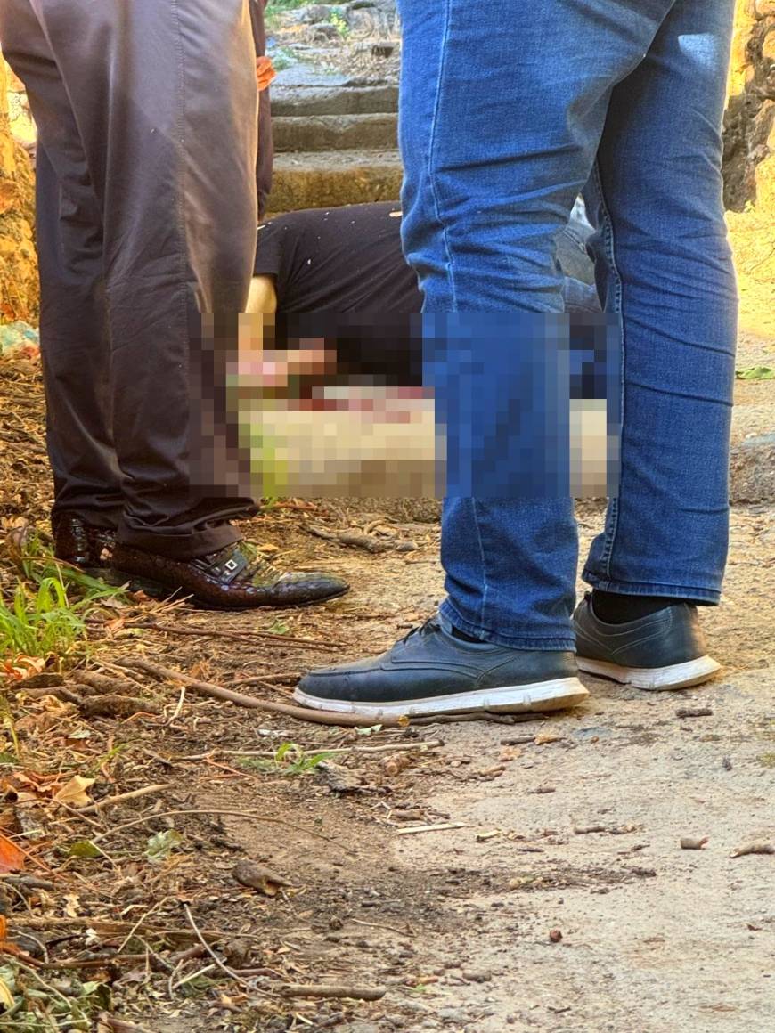 https://64k.net/media/dha_img/202505/6815dfc208a5a.jpg