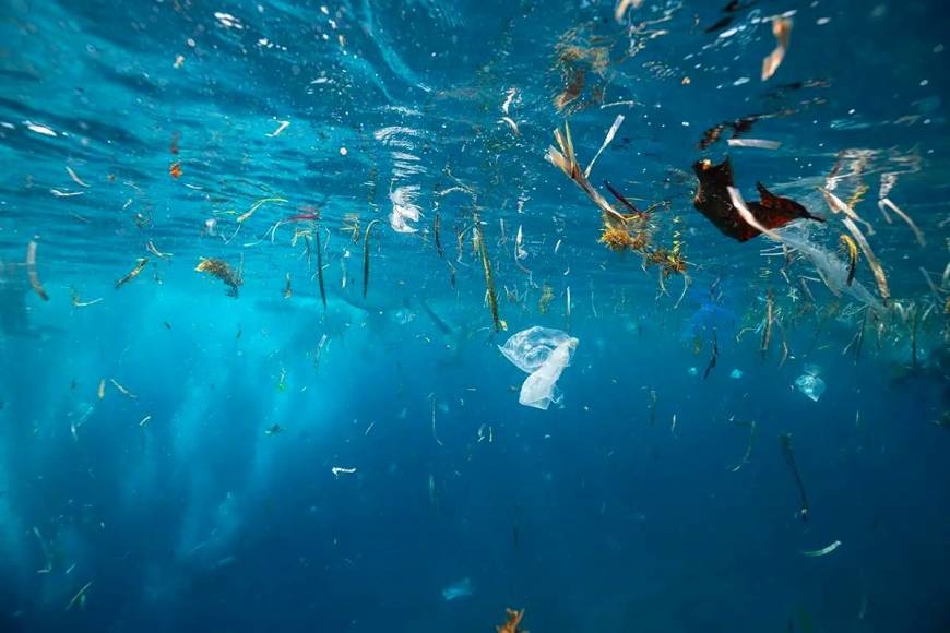 Okyanusun her katmanında mikroplastik bulundu