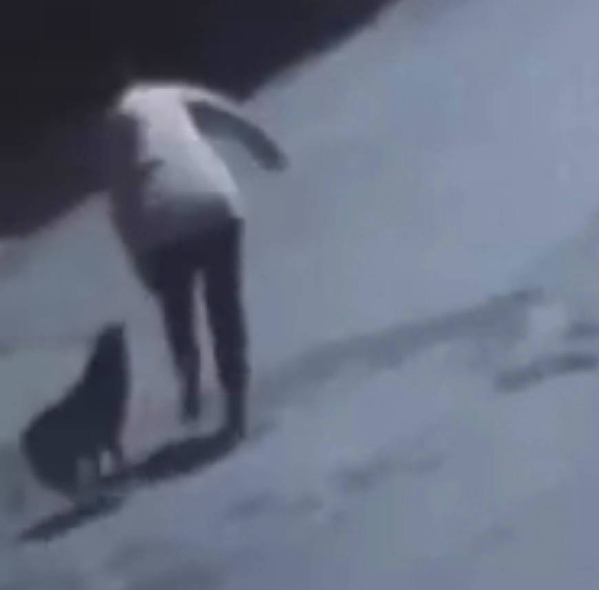 Tekirdağ'da sokak köpeğinin ısırdığı kadın yaralandı; o anlar kamerada 