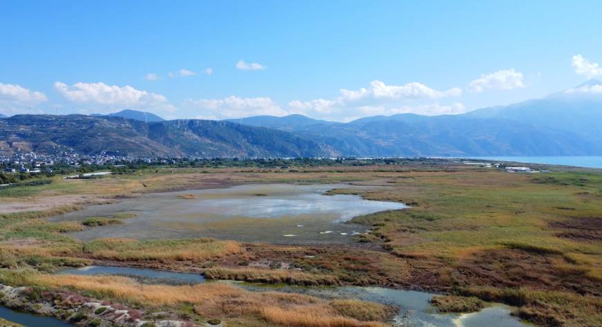 Hatay'daki Milleyha Sulak Alanı'nda bu yıl 12 yeni kuş türü gözlendi