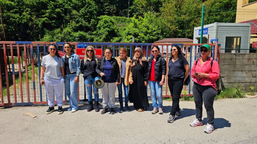 Köpek, saldırgan olduğu gerekçesiyle uyutuldu, hayvanseverler tepki gösterdi