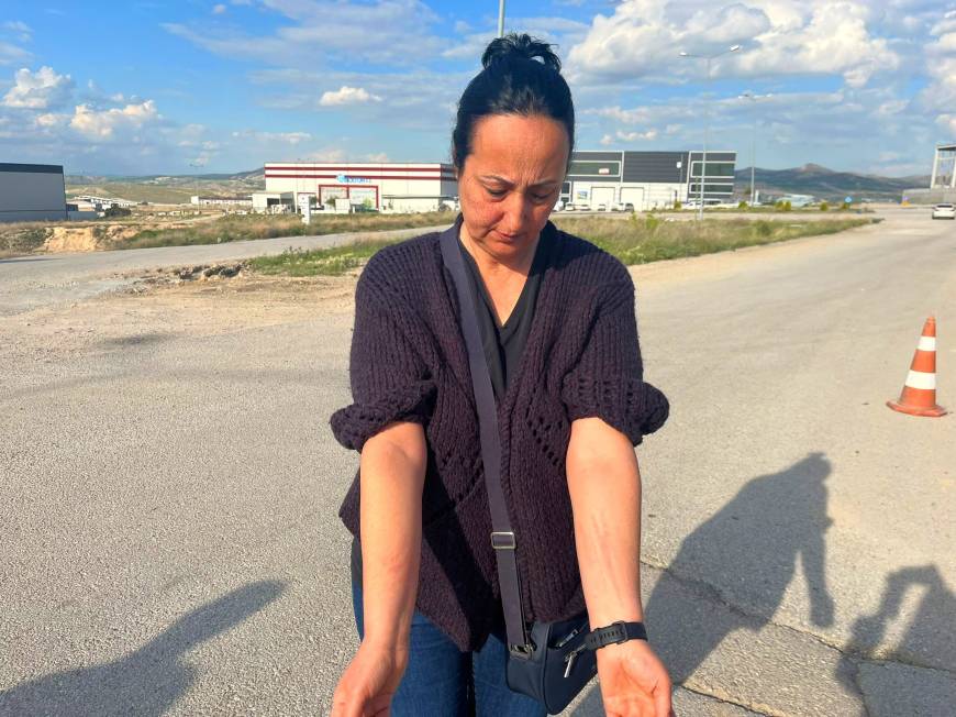 Belediye görevlileri ile hayvansever arasında 'köpek toplama' gerginliği