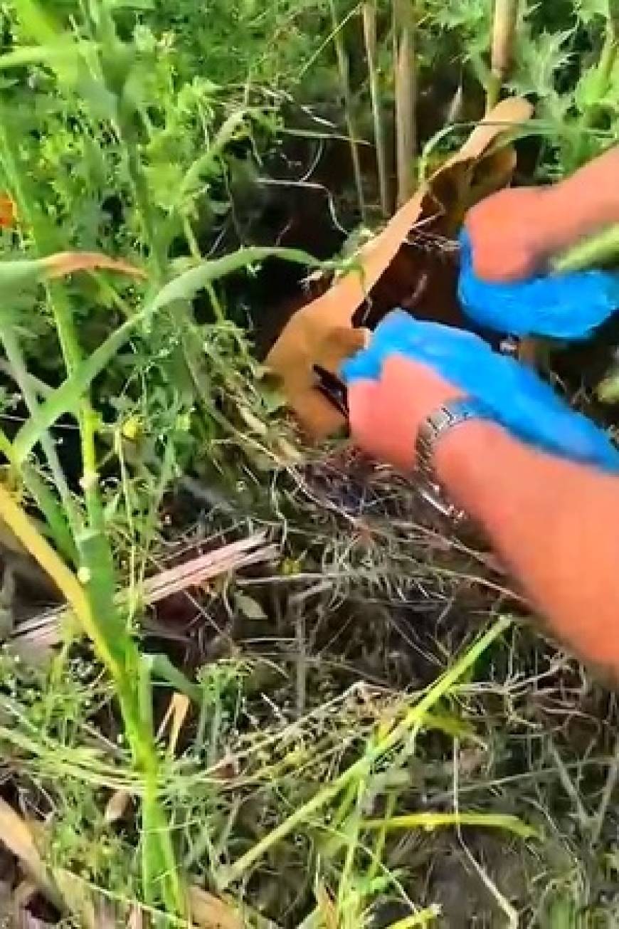 https://64k.net/media/dha_img/202505/681a6c99b653a.jpg