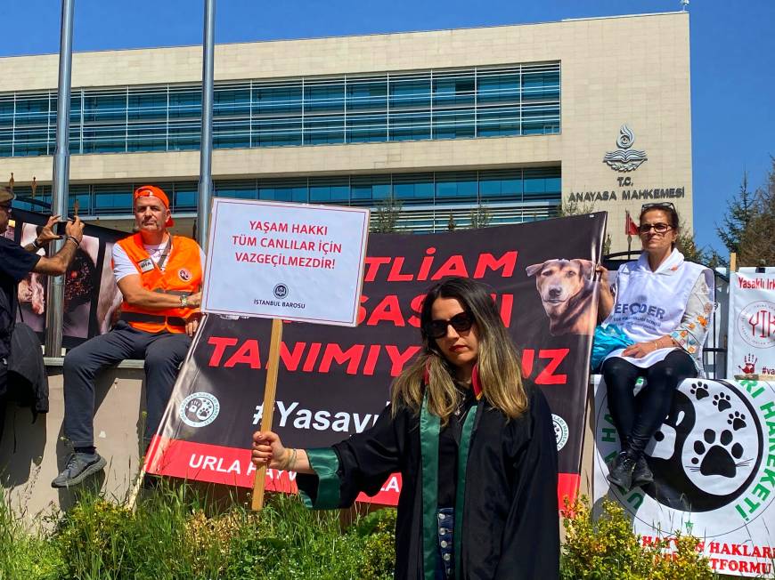 Hayvanseverlerden, AYM önünde 'Hayvanları Koruma Kanunu' nöbeti