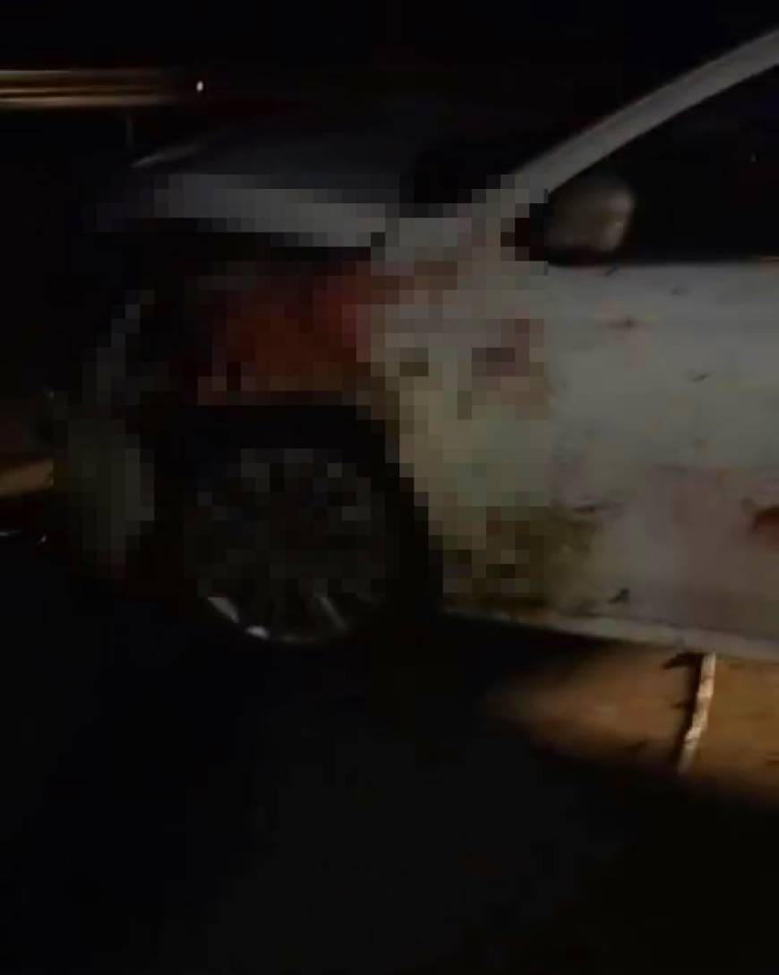 Elazığ'da otomobilin çarptığı 15 koyun öldü