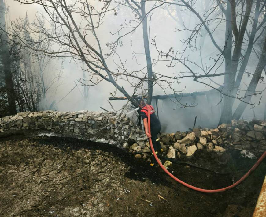 Kütahya'da 4 kümes yandı; 100 tavuk öldü