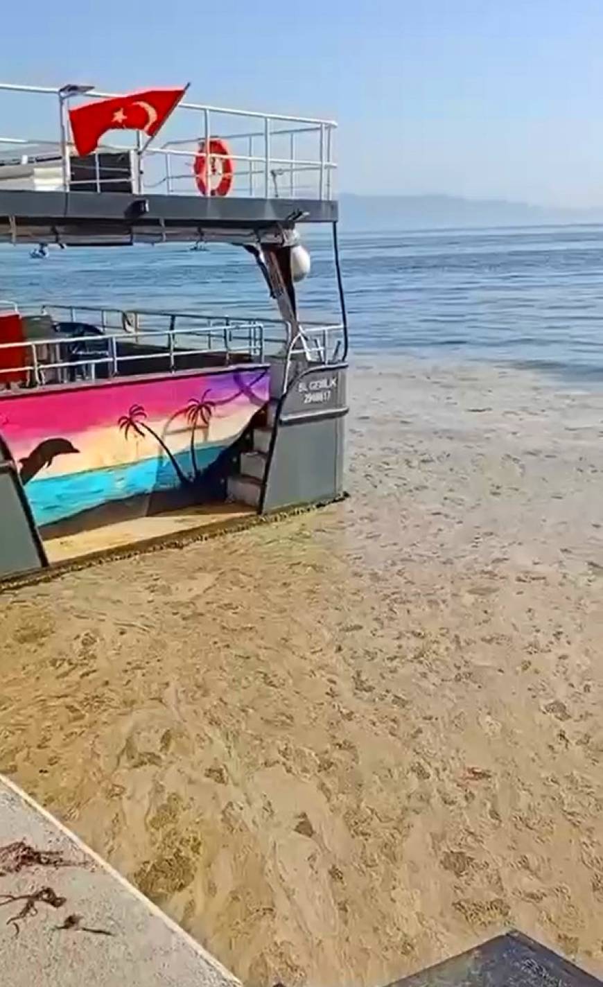 Marmara’nın turistik körfezi müsilajla kaplandı