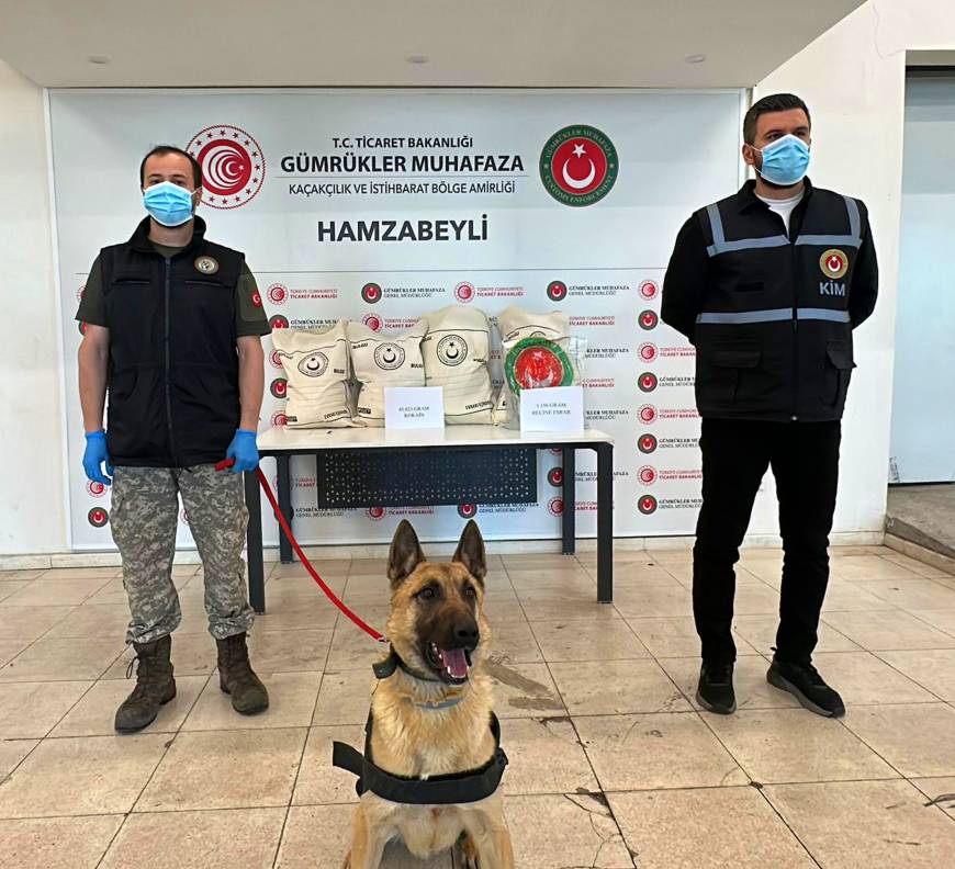 Hamzabeyli'de 50 kilo uyuşturucuyu ‘Bodri’ buldu