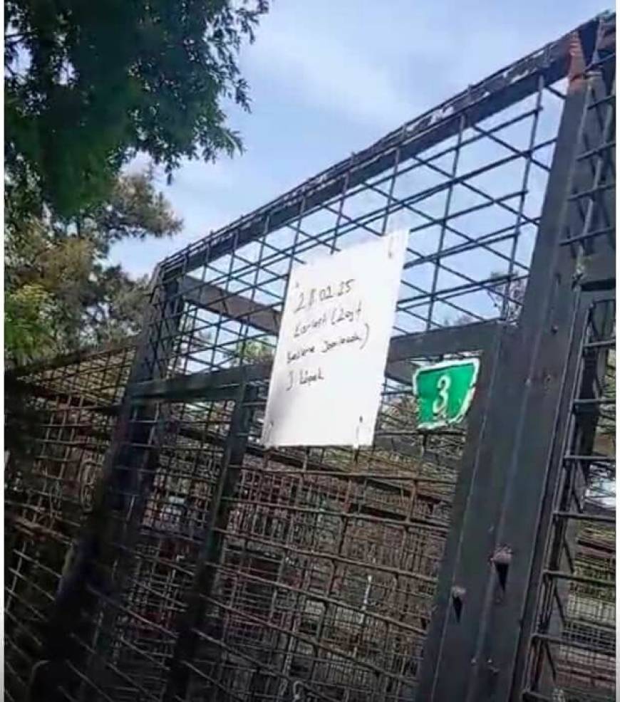 Barınakta hayvanların uyutulduğu iddialarına hayvanseverlerden tepki (2)