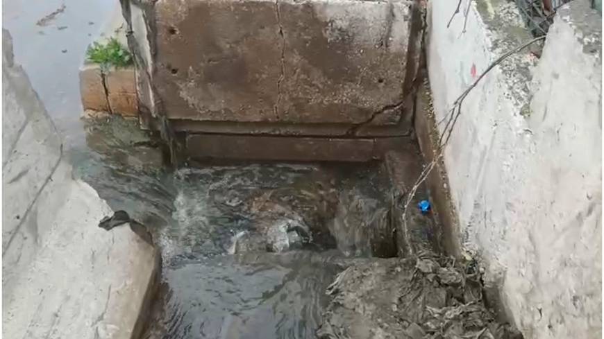 https://64k.net/media/dha_img/202505/68271f6226ad7.jpg