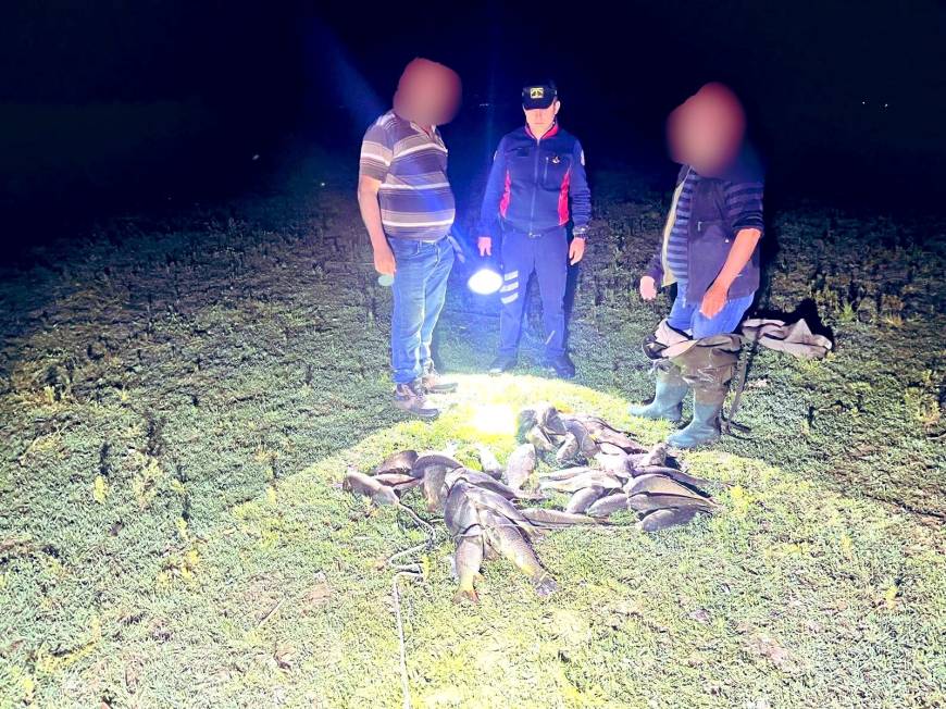 Uluabat Gölü'nde kaçak avcılara baskın; ele geçirilen 466 kilo canlı balık göle salındı