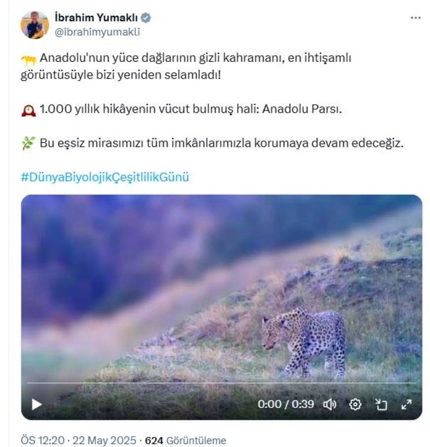 https://64k.net/media/dha_img/202505/682ef21e912db.jpg