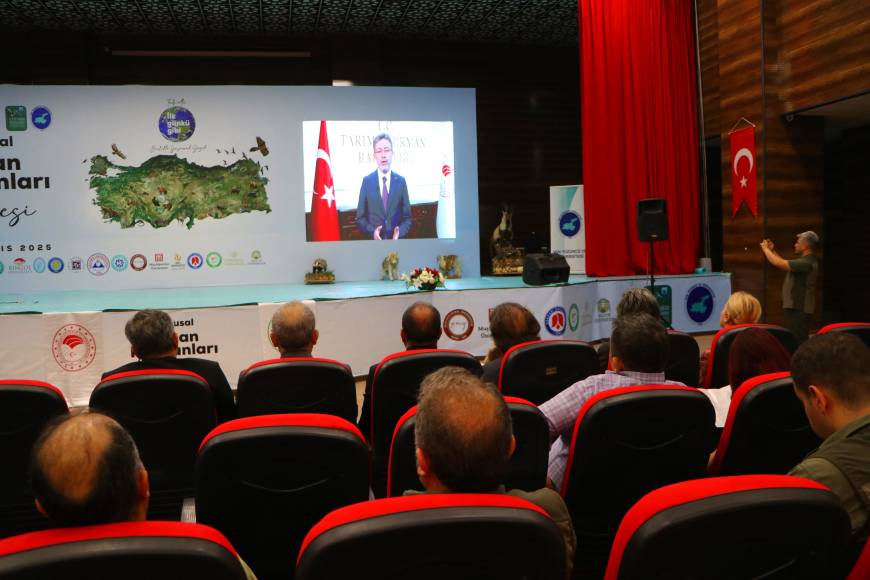 https://64k.net/media/dha_img/202505/682f1eba29798.jpg