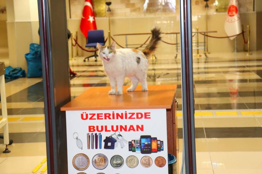 https://64k.net/media/dha_img/202505/683191a5b2f21.jpg