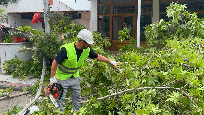 Turgutlu'da şiddetli rüzgar; ağaçlar devrildi