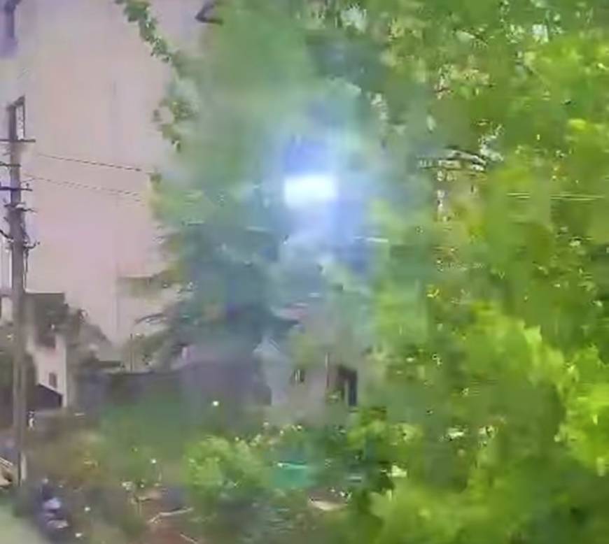 Bartın'da şiddetli rüzgar; ağaçlar devrildi