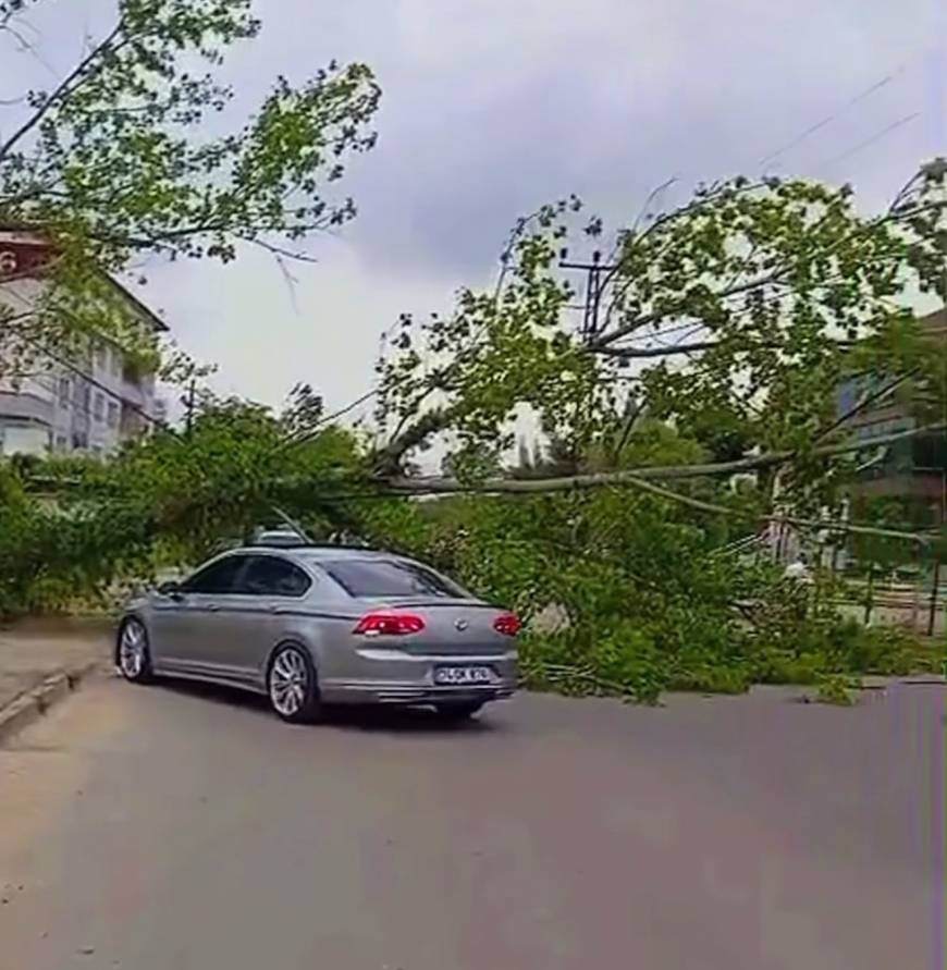 https://64k.net/media/dha_img/202505/68335cfa4348e.jpg