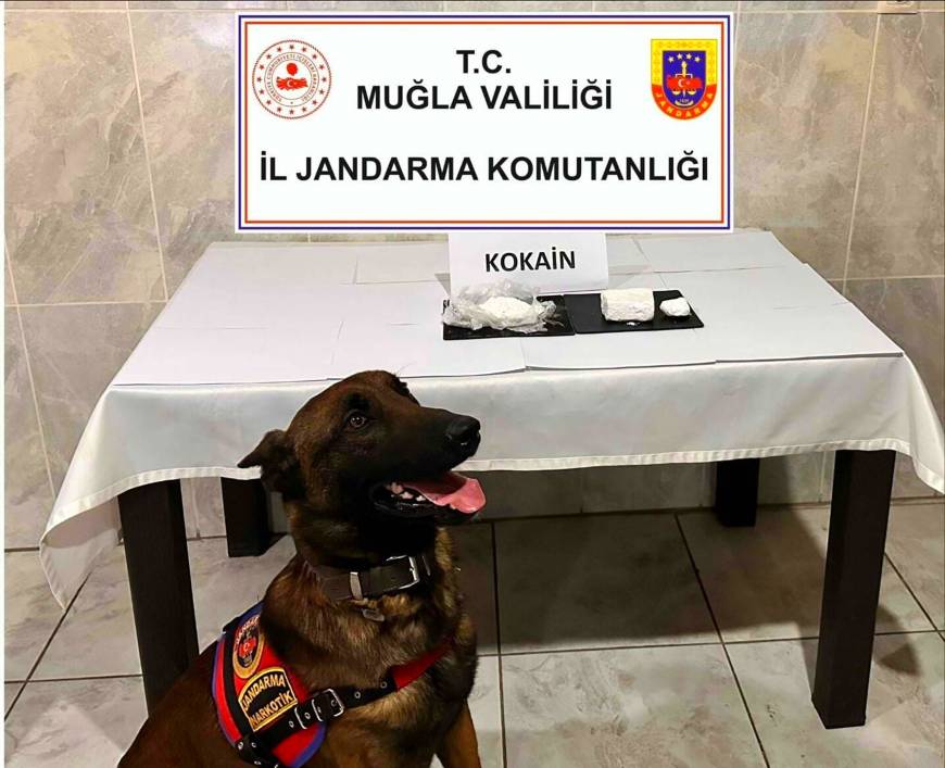 Yolcu otobüsüyle uyuşturucu sevkiyatı 'Etil'e takıldı