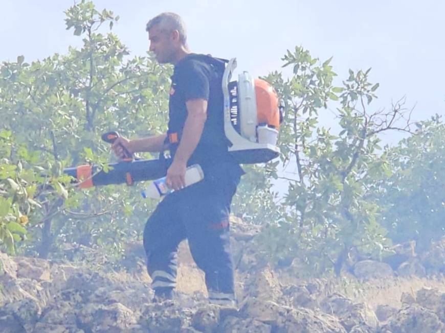 Nusaybin'de otluktaki yangın söndürüldü